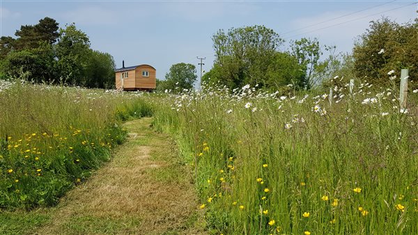 orchard paths